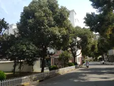 宝通家园3室南朝向180.00万元/套出售