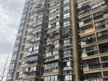 2019年次新,边套全明三房,电梯中高区