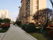 中南锦庭2室1厅南北
