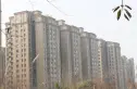 巴黎都市实景图