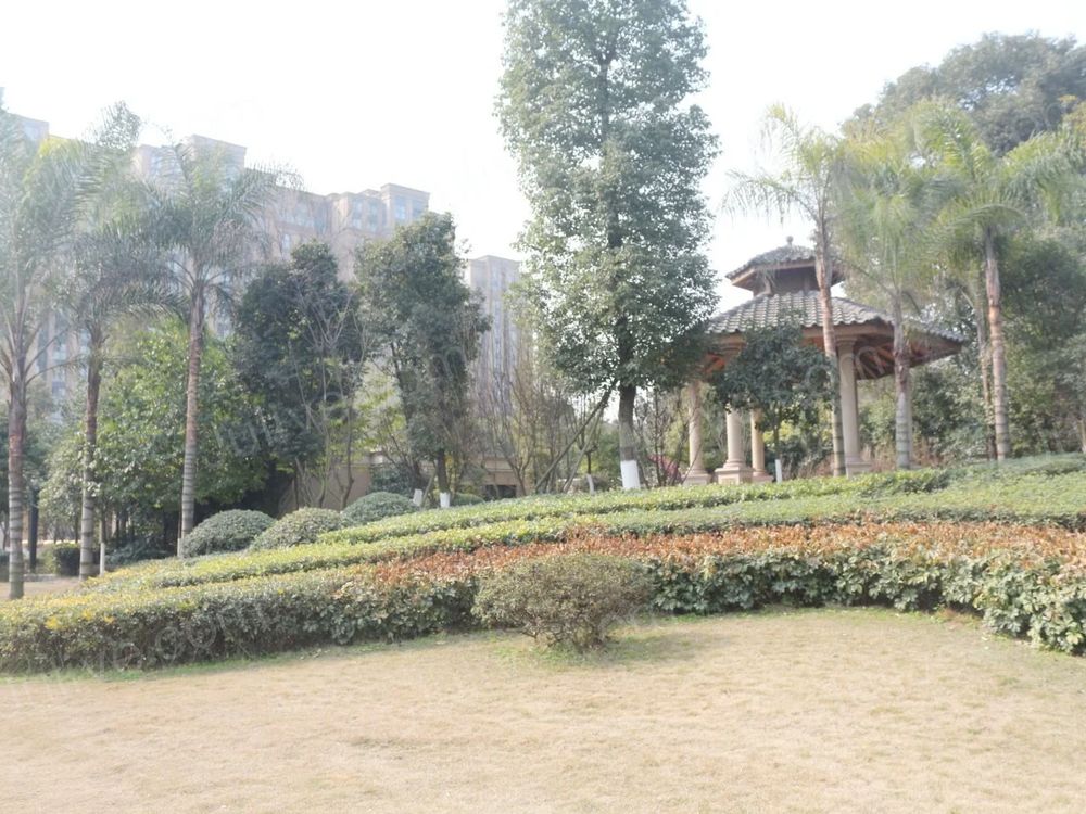 小区相关图