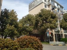 交通便利,一梯两户,主卧朝南,得房率高,南北通透,房型正气,顶楼房,精装修