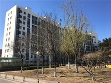 焦各庄街2号院 2室1厅 西北