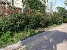 唐镇电梯洋房,位置视野好,业主诚意