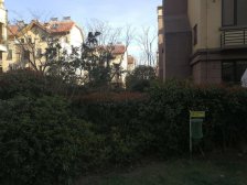 花屿湾 一楼带院子 满五 开发商装修 业主诚意 全款可小议