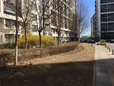 焦各庄街2号院,低楼层南向电梯房