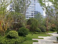 小高层,采光视野好,独栋独单元,东区高层天花板