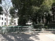 化工新出底楼大院子,独门独卫带院子,有钥匙看房 可议价