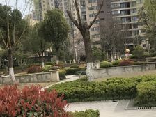 无抵押 现场实勘 产权清晰,新上房源