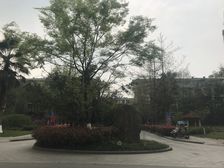 泰基花溪谷3室2厅西东