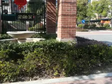 大开间,厨卫朝北,品质小区,繁华地段