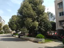 带阁楼,复式房,南北通透,小区中心位置,不靠近马路,钥匙房,带露台