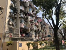 一梯三户 双南双天井已搭好 实用面积大 出入便捷 诚心可谈