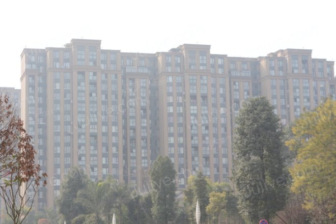 巴黎都市实景图