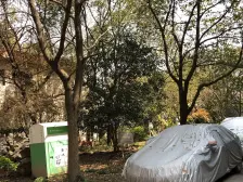 北蔡·绿川公寓·2室·1厅