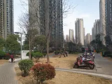 房子对流,小区中间,观景楼层,采光充足,满五唯一