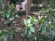 桂林路双轨交汇处,背靠航天科技城,出门三甲医院