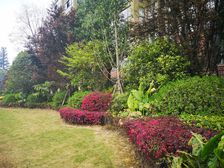 新希望皇冠国际 4室2厅 西南