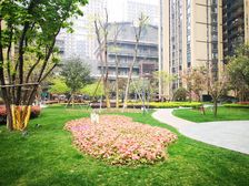 龙湖时代天街 1室1厅 南