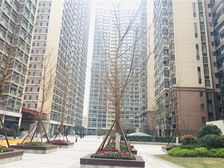 保利创智锦城 1室1厅 东南