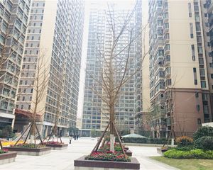 保利锦江里 4室2厅 南 北