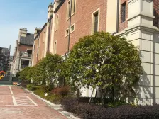 唐镇2016年 次新 花园洋房,清水毛坯 带大花园!