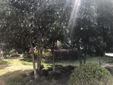 精装2楼大两房,好位置,满五税少,近地铁!