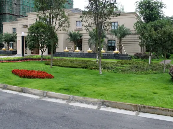 巴黎都市实景图