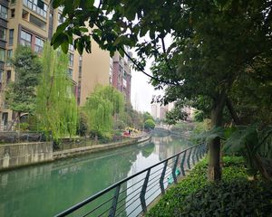 新希望皇冠国际4室2厅西南
