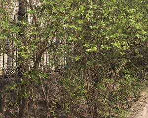 刘家窑·贾家花园15号院·3室·1厅