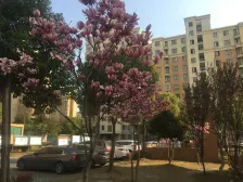 中间楼层,刚需上车,必看好房