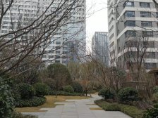 建业天筑 精装修大平层 高楼层 视野开阔 业主诚心出售