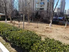 红星海四期城市别馆二号 3室1厅 南 北