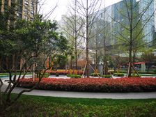 龙湖时代天街 1室1厅 东南