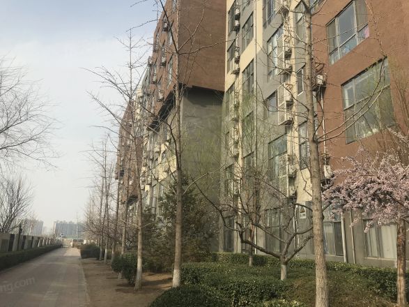 自由筑实景图