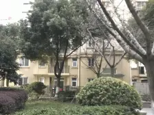 新上好房,业主诚意,户型方正,好上车