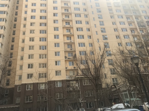 龙湖大方居实景图