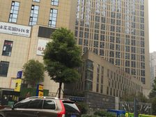 智地哥谭3室2厅东南