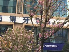 蜀都中心二期2室2厅东南