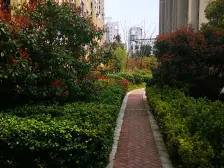 临港新片区 精装两室 诚意出售 配套齐全 拎包入住