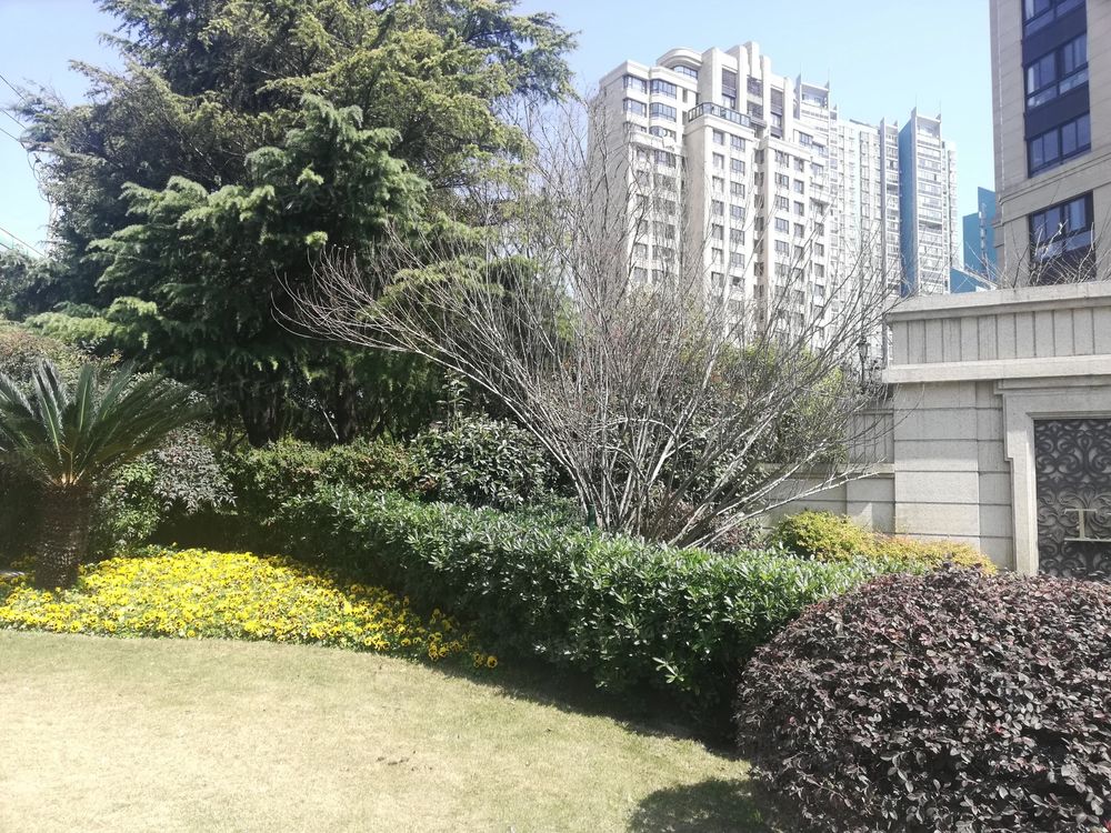小区相关图