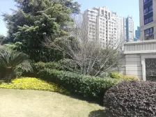 臻庭大三房,小区中间位置安静景观房,1,12线,日月光