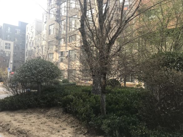 自由筑实景图
