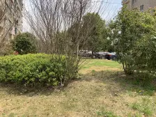 练祁佳苑1室南朝向220.00万元/套出售