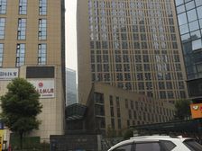 智地哥谭3室1厅东南