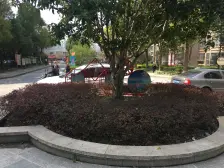 电梯房,小户型,小区中心位置,诚意出售