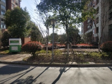 嘉定新城·交大附 南北通 全明户型有车位