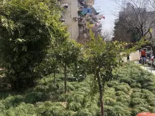 甘泉宜川·新黄小区·2室·1厅