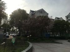 唐镇·地纬家园·5室·3厅