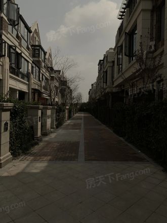 上坤旭辉墅实景图